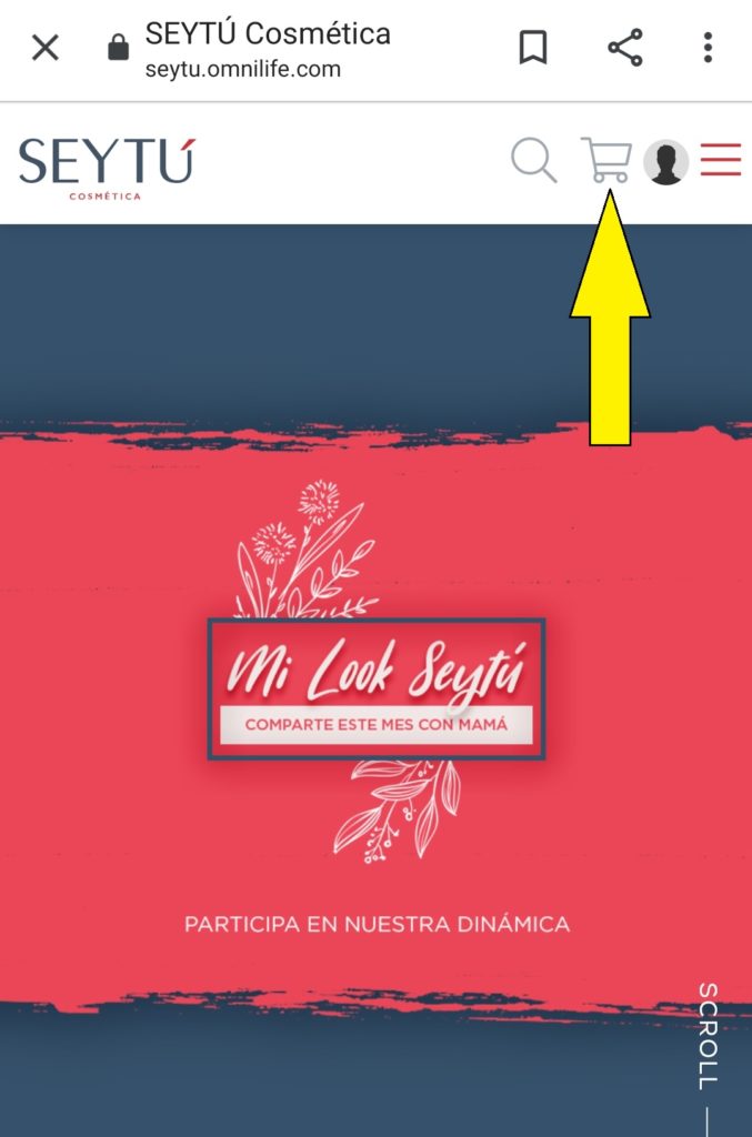 Comprar en linea Omnilife