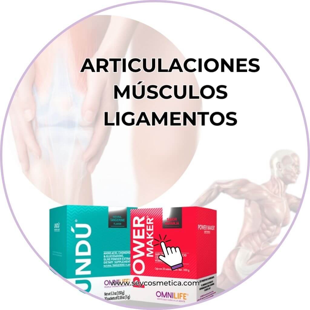 articulaciones, músculos y ligamentos